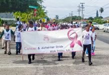 Students stride against cancer and Alzheimer’s