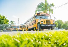 Space not the issue in school segregation