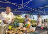 Going coconuts for Coco Fest