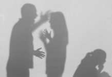 Concerns grow despite drop in domestic violence reports