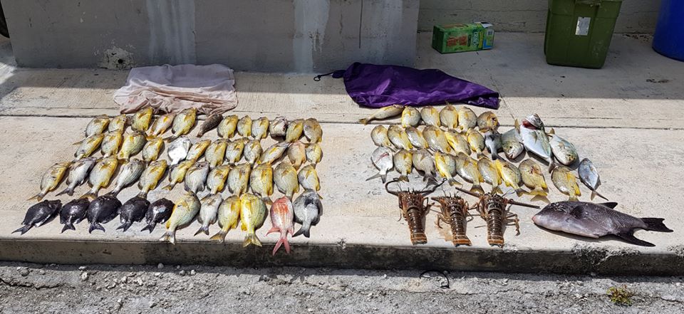 DoE Conservation Officers confiscated 74 fish, 3 lobster and 2 spear guns and snorkel gear from two men caught spear fishing without a license. Enforcement continues amid the COVID-19 crisis.