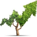 OECD: Full potential of sustainable finance yet to be unlocked