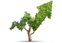 Will the crisis put the brakes on sustainable investing?