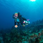Take a breather and go diving Diving is self-isolating under the water by nature, which works well at times like these.