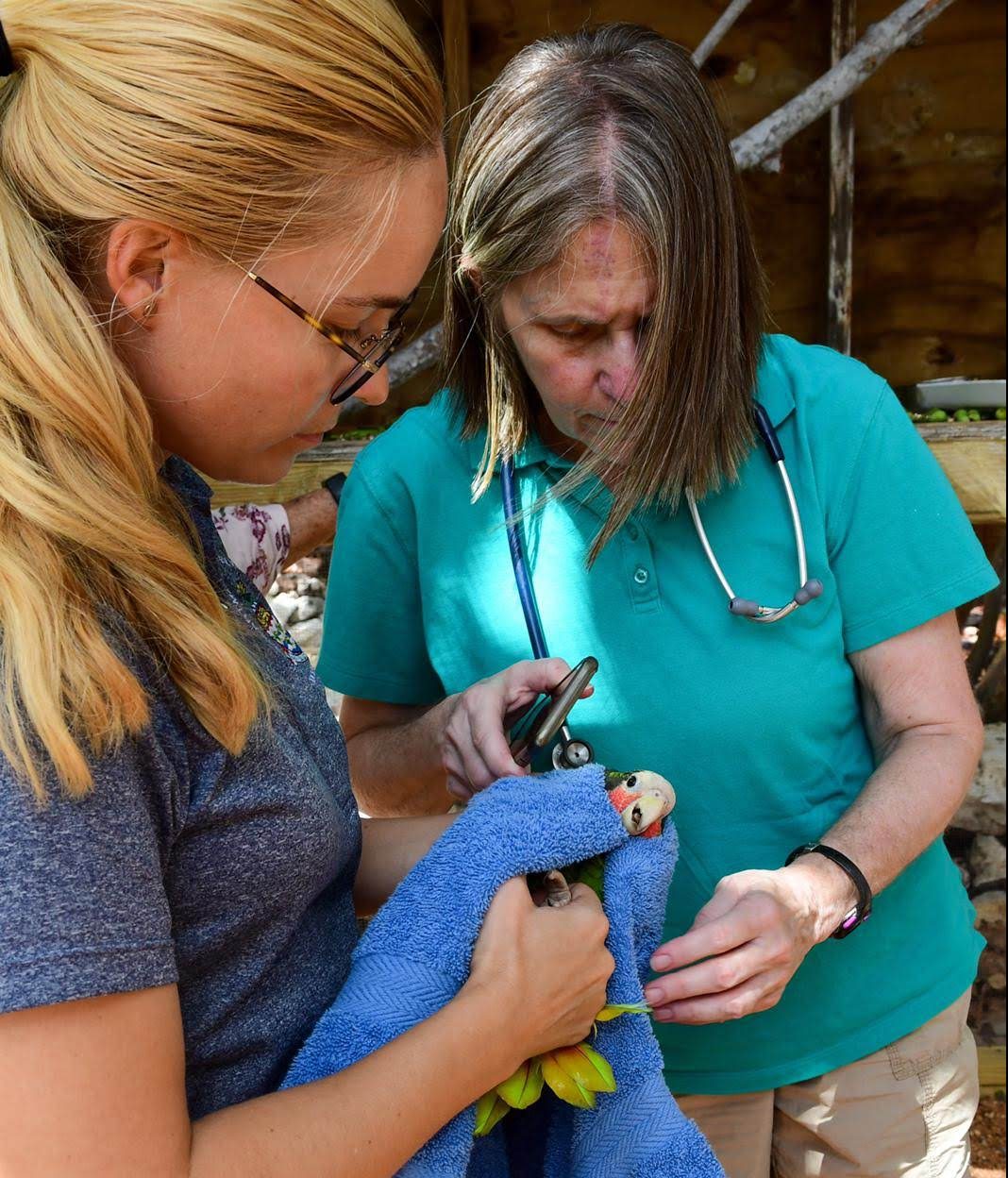 Jane and Dr Karen checking bird