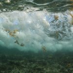 Cayman’s climate policy plan gathering dust
