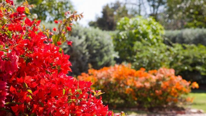 Get more hands-on with your garden until the professionals can return