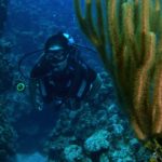 Divers face long-term health impact from COVID-19