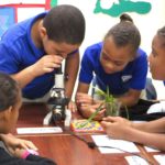 Environmental education focus group established