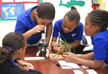 Environmental education focus group established