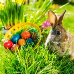 Easter Bunny exempted from curfew restrictions