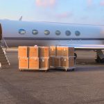 35,000 test kits sold to Bermuda Boxes of the test kits arrive on a private plane at the Owen Roberts International Airport on Wednesday morning.