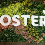 Foster’s scotches virus rumour