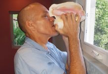 Community love and conch calls