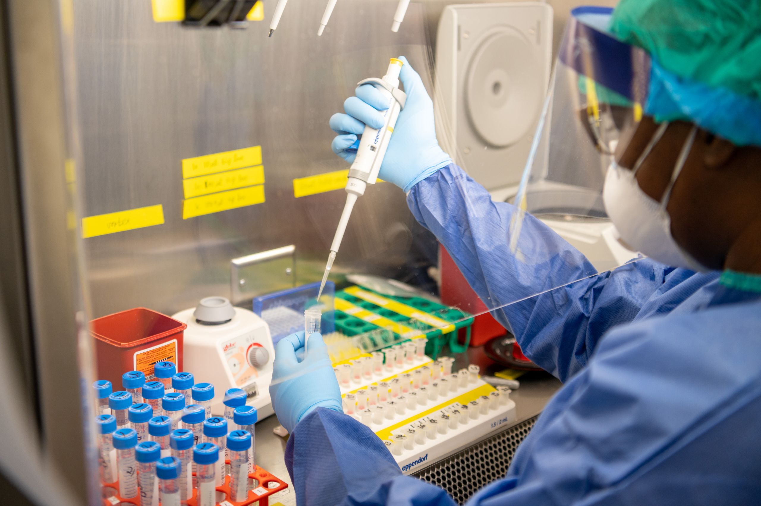 Lab manager Gayon Allen- Gouldbourne processes the sample to isolate the genetic material for testing.