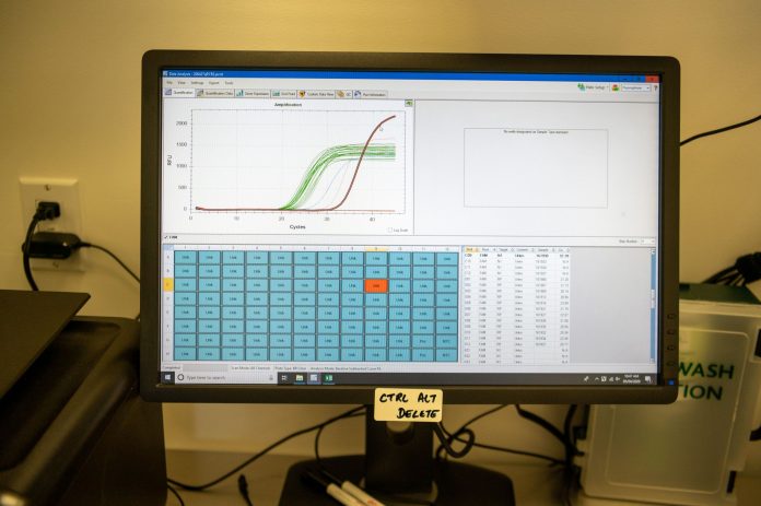A positive test, like this one from an earlier sample, would show as a red spike on the graph. Green is for human DNA and blue is for the ‘control’ samples of COVID-19 pre-loaded into the test.