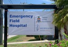 Emergency hospitals established for pandemic response