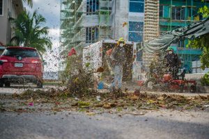 Landscapers got back to work Monday as regulations began to be relaxed