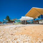 Businessman Chris Johnson sent back to drawing board over plans for fish market site Cayman's fish market on the waterfront in George Town