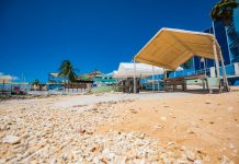 Businessman Chris Johnson sent back to drawing board over plans for fish market site Cayman's fish market on the waterfront in George Town