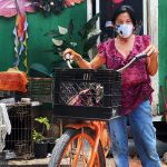 From trapping roosters to trusting in God and charity