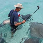 Daily stingray feedings draw on DoE resources, personnel