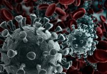 Stem cell study aims to fight the COVID-19 ‘storm’