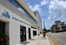 Development Bank to lend businesses up to $100,000