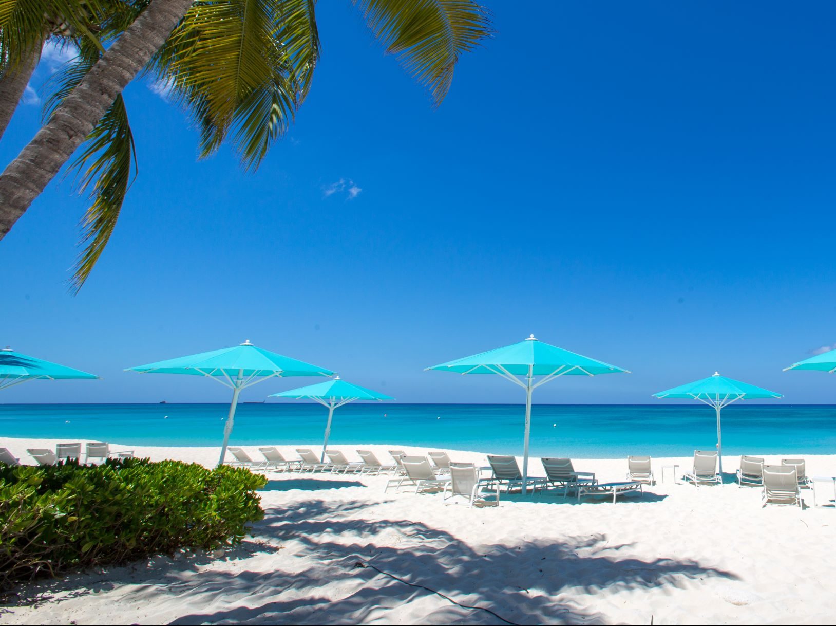 Survey: 13% of tourism stipend workers have full-time jobs
