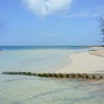 Tourism plan targets route back to half a million visitors Starfish Point and other attractions could need visitor management plans assessments as part of the new strategy. - Photo: James Whittaker