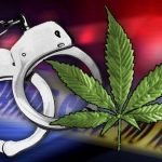 Police seize 241 pounds of ganja