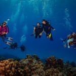 Women’s Dive Day: Divers swim more than 60 miles in fundraiser