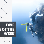 Dive Site of the Week