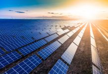 Protect Our Future leader urges increased spending for renewable energy, public transport
