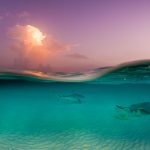 Green recovery proposed for post-COVID Cayman