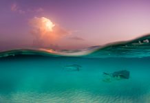 Green recovery proposed for post-COVID Cayman