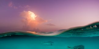 Green recovery proposed for post-COVID Cayman