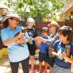 Parrot sanctuary is something to squawk about