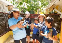 Parrot sanctuary is something to squawk about