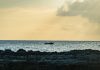 10 ideas to reshape Cayman after COVID-19