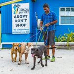 No vacancies: Humane Society filled to capacity with animals