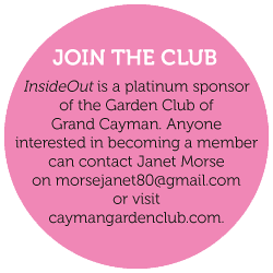 JOIN THE CLUB - InsideOut is a platinum sponsor of the Garden Club of Grand Cayman. Anyone interested in becoming a member can contact Janet Morse on morsejanet80@gmail.com or visit caymangardenclub.com.