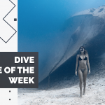 Dive Site of the Week