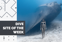 Dive Site of the Week