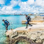 Divers come to aid of imperiled coral