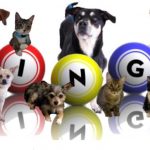 Bingo night supports animal rescue charity