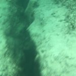 Man discovers rift in South Sound seabed