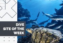 Dive Site of the Week