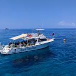 Ocean Frontiers explores Little Cayman’s Bloody Bay Wall