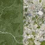 Population growth has transformed Cayman’s economy and environment